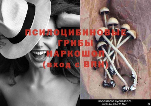 мяу мяу кристалл Арсеньев