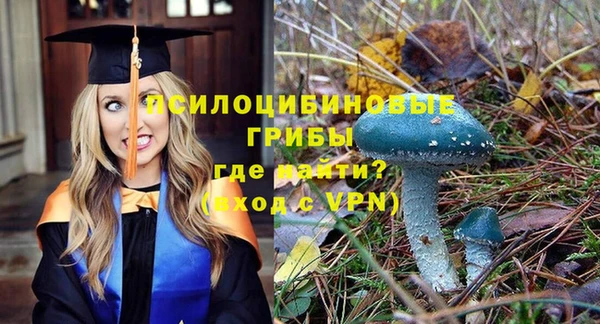 тгк Аркадак