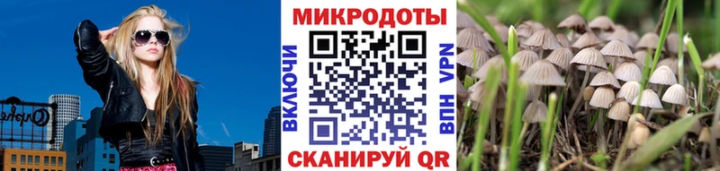 Псилоцибиновые грибы MAGIC MUSHROOMS  Купить  Топки 